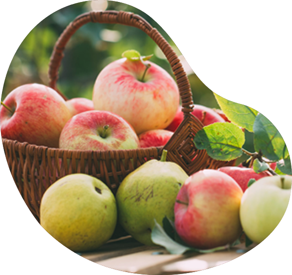 fruits